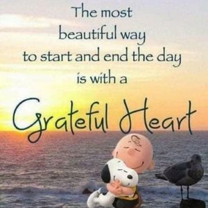 Bundle 3 items for 30% Off